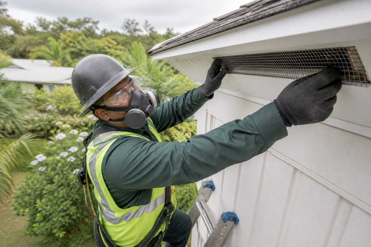 Pest Control La Habra Are Here To Help You